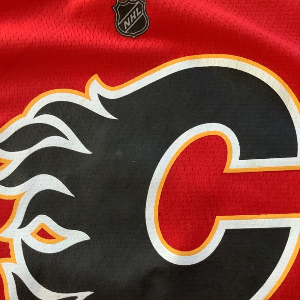 Hockey Jersey - Picture 4 of 10